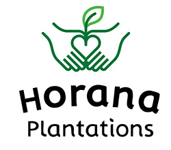 Horana Plantation PLC