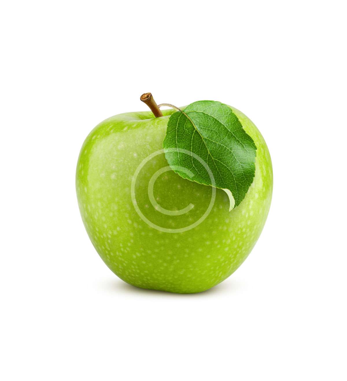 product-image27-copyright