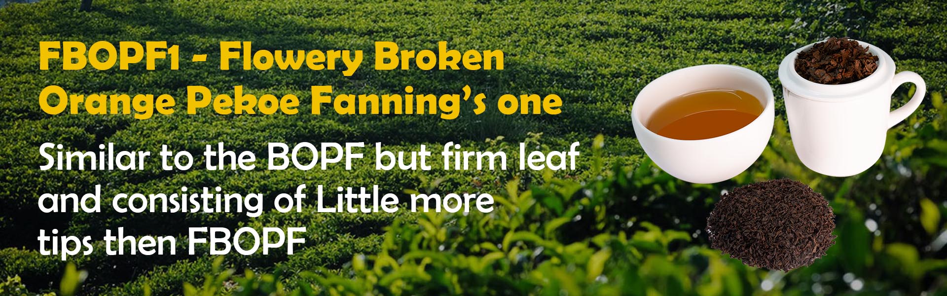 fbopf1-banner