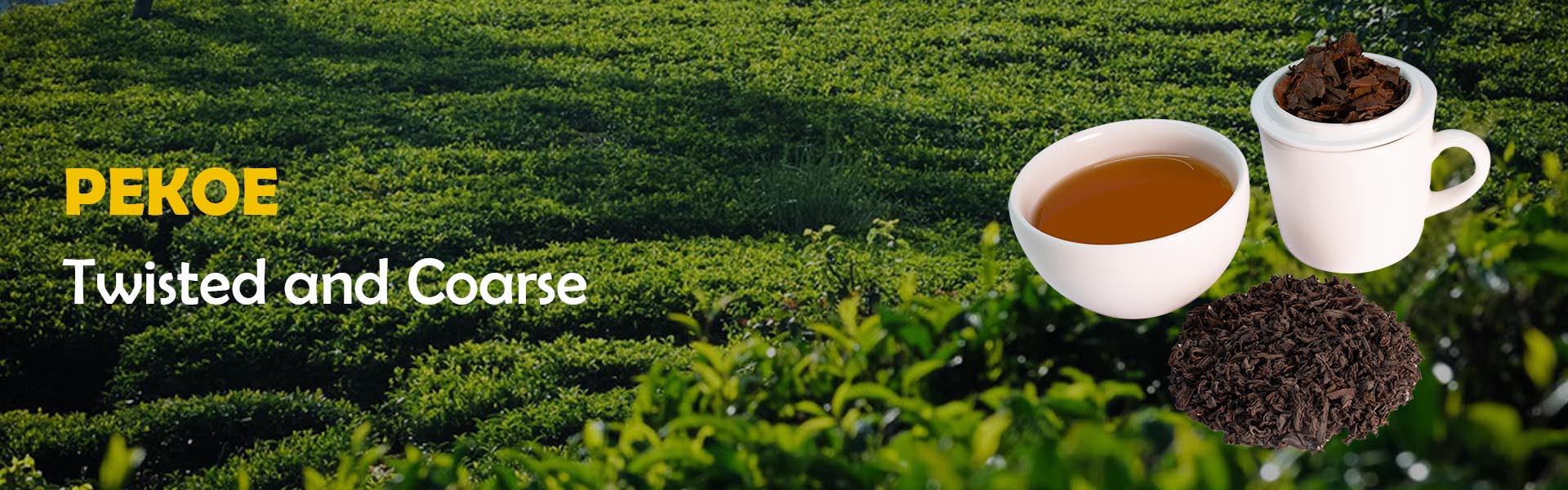 pekoe-banner