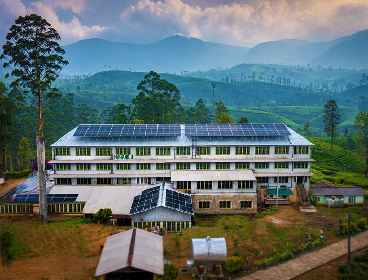 Tea Factory Name 01
